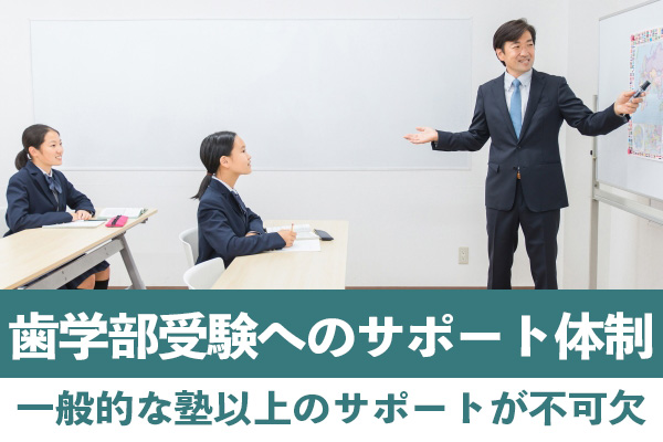 歯学部受験へのサポート体制